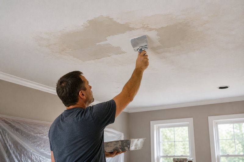 Ceiling Leak Repair Service in Denver County, CO