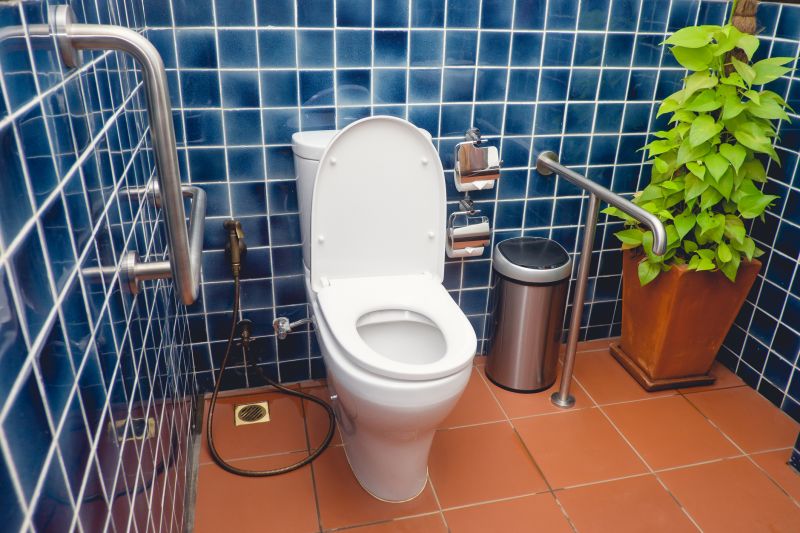 Cost of Grab Bar Installation — Cost of Grab Bar Installation